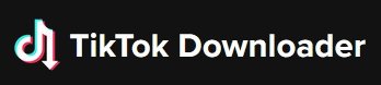 tiktokdownloader.com